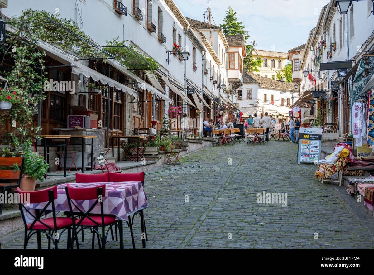 How Old Is Nico Robin in Your Name?